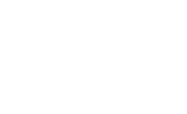 PROJECT K